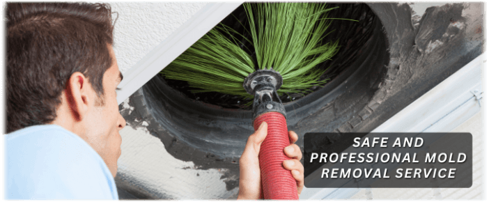 Air Duct Mold Removal in Torrance CA