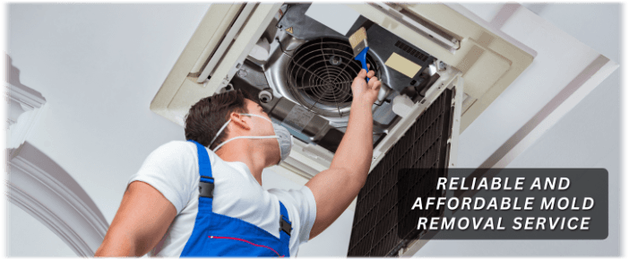 HVAC Mold Removal Torrance CA